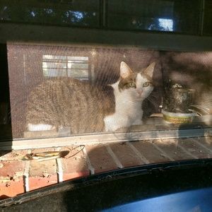 Meet your Posher, Maygen